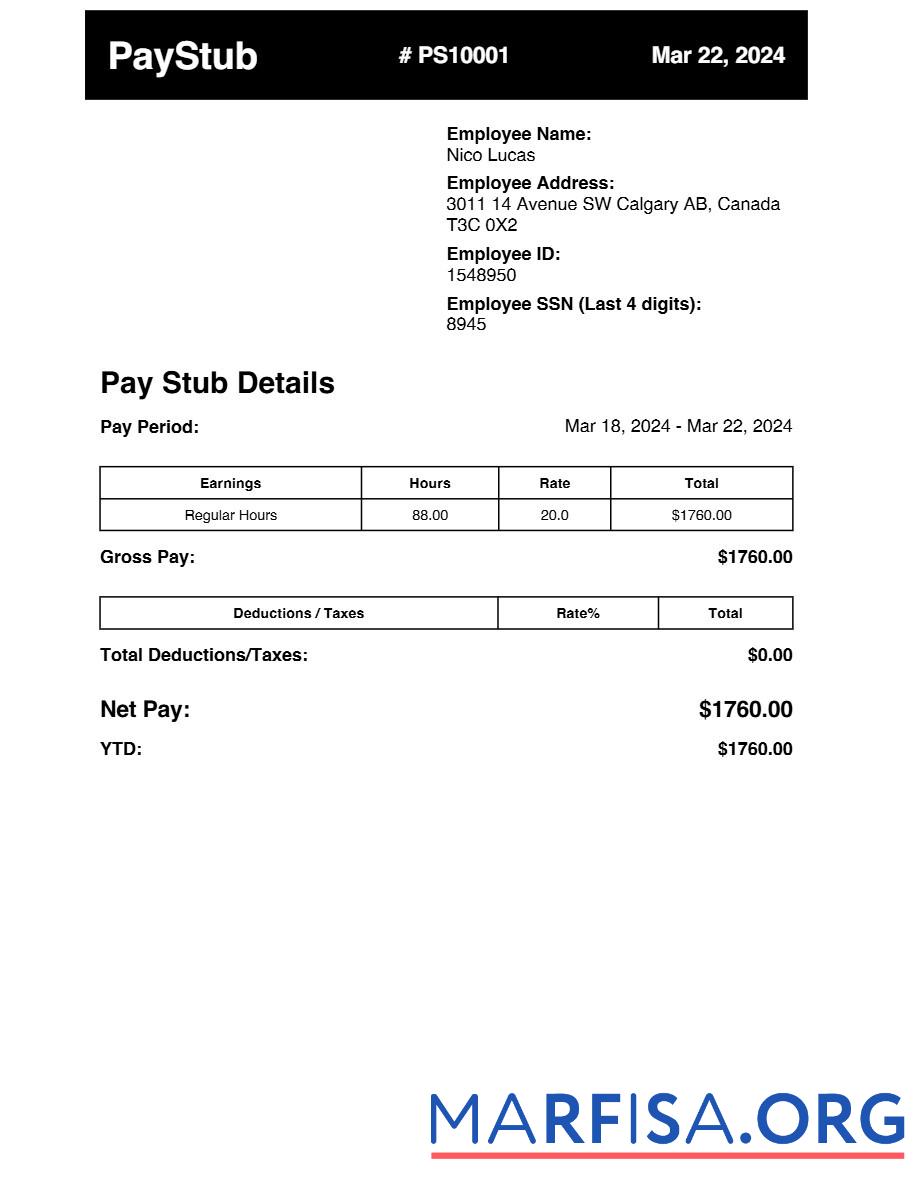 Realistic Earnings pay stub sample